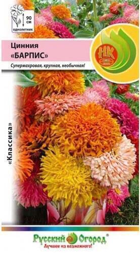 Купить оптом в Ботанике семена Цинния Барпис, смесь НК бренд НК
