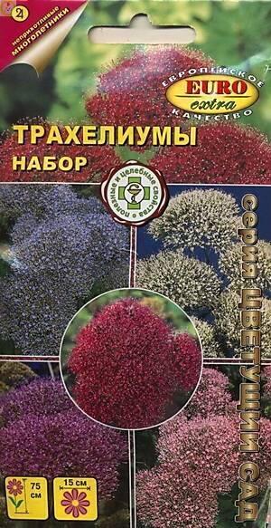 Купить оптом в Ботанике семена Трахелиумы набор Аэл бренд Аэлита