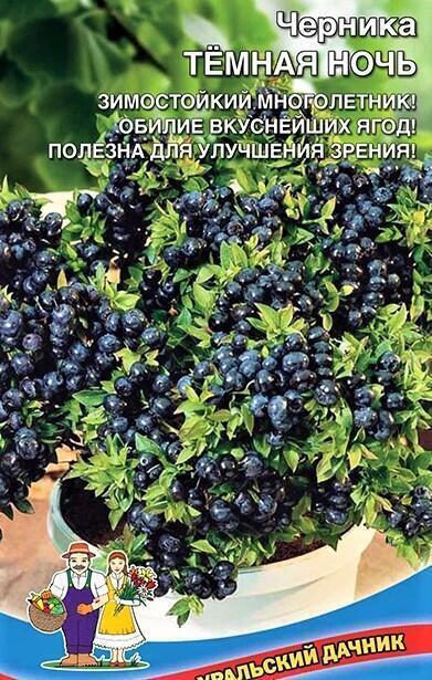 Купить оптом в Ботанике семена Черника Темная Ночь УД бренд Уральский дачник