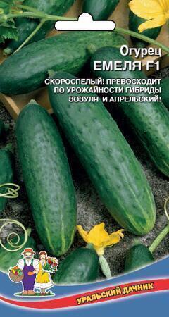 Купить оптом в Ботанике семена Огурец Емеля F1 УД бренд Уральский дачник