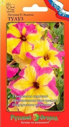 Купить оптом в Ботанике семена Петуния Экзотик Тулуз F1 НК бренд НК