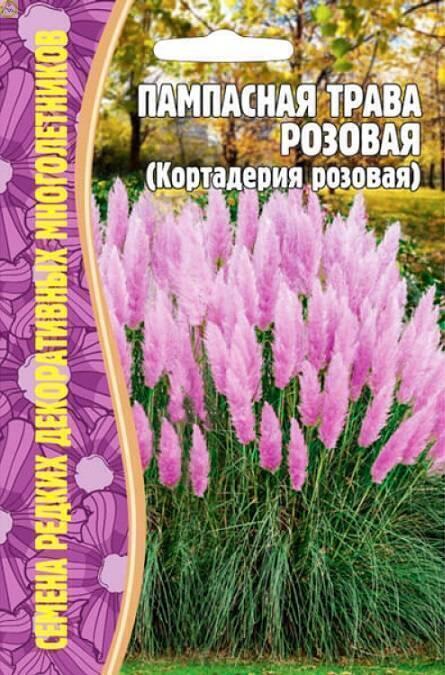 Купить оптом в Ботанике семена Пампасная трава розовая Реш бренд Решение, ООО