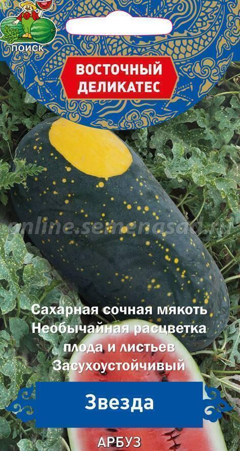 Купить оптом в Ботанике семена Арбуз Звезда Поиск бренд Поиск