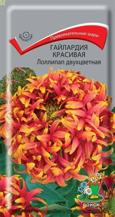 Купить оптом в Ботанике семена Гайлардия Лоллипап красивая двухцветная Поиск бренд Поиск