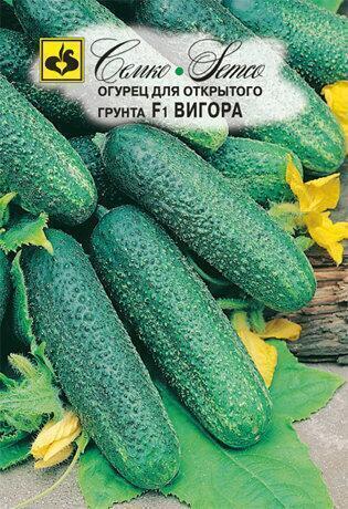 Купить оптом в Ботанике семена Огурец Вигора F1 Сем бренд Семко