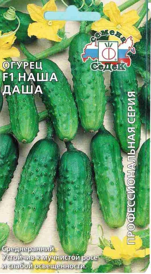 Купить оптом в Ботанике семена Огурец Наша Даша F1 Сед бренд СеДеК