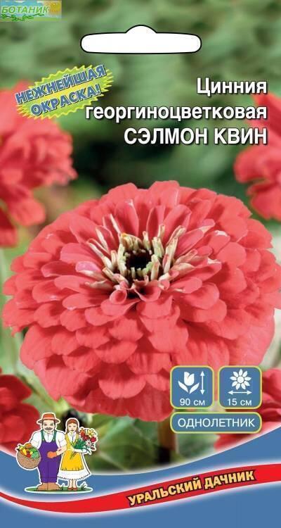 Купить оптом в Ботанике семена Цинния Сэлмон Квин УД бренд Уральский дачник