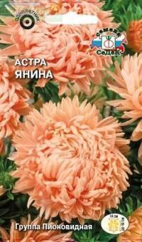 Купить оптом в Ботанике семена Астра Янина Сед бренд СеДеК