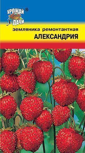 Купить оптом в Ботанике семена Земляника Александрия УУ бренд Урожай Удачи
