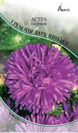 Купить оптом в Ботанике семена Астра Гремлин Дарк Виолет тигровая Ав бренд Ависта