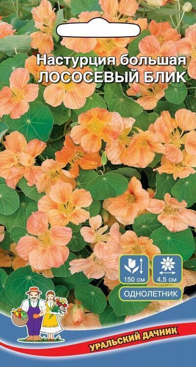 Купить оптом в Ботанике семена Настурция Лососевый блик УД бренд Уральский дачник