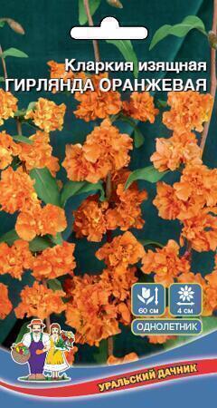 Купить оптом в Ботанике семена Кларкия Гирлянда оранжевая УД бренд Уральский дачник