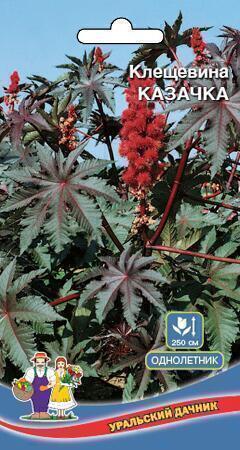 Купить оптом в Ботанике семена Клещевина Казачка УД бренд Уральский дачник