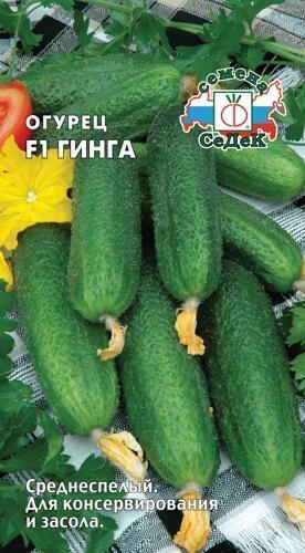 Купить оптом в Ботанике семена Огурец Гинга F1 Сед бренд СеДеК