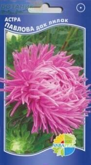Купить оптом в Ботанике семена Астра Павлова дак лилак Акв бренд Акварель