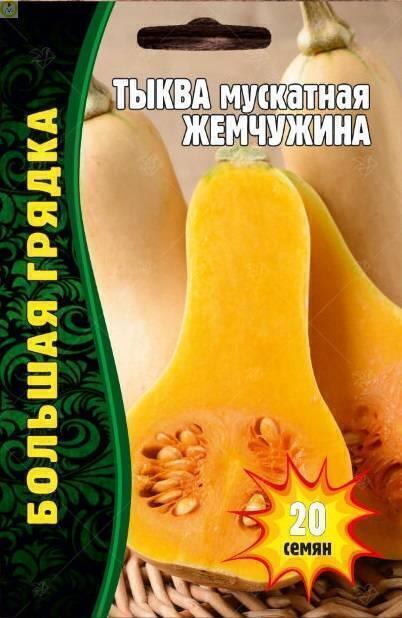 Купить оптом в Ботанике семена Тыква Жемчужина мускатная Реш бренд Решение, ООО