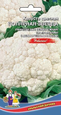 Купить оптом в Ботанике семена Капуста цветная Полярная звезда УД бренд Уральский дачник