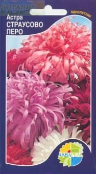 Купить оптом в Ботанике семена Астра Страусово перо смесь Акв бренд Акварель