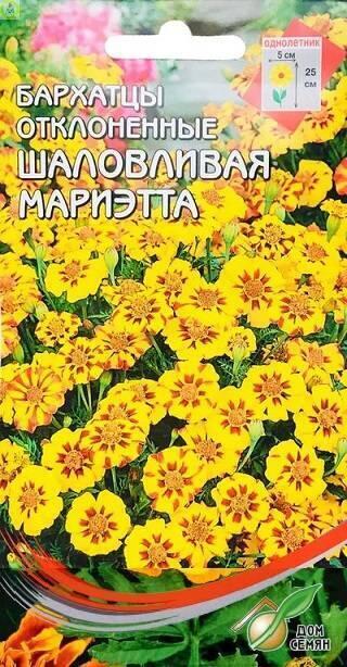 Купить оптом в Ботанике семена Бархатцы Шаловливая Мариэтта ССО бренд Сортсемовощ