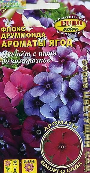 Купить оптом в Ботанике семена Флокс Ароматы ягод друммонда Аэл бренд Аэлита