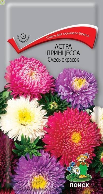 Купить оптом в Ботанике семена Астра принцесса Смесь окрасок Поиск бренд Поиск