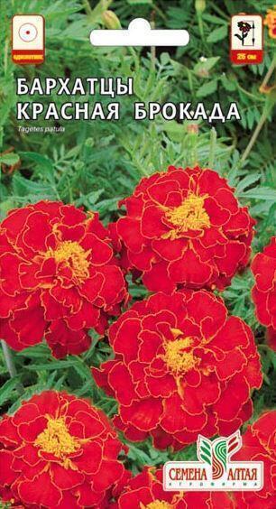 Купить оптом в Ботанике семена Бархатцы Красная брокада СА бренд Семена Алтая