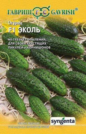 Купить оптом в Ботанике семена Огурец Эколь F1 Гав бренд Гавриш