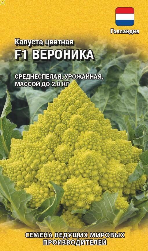 Купить оптом в Ботанике семена Капуста цветная Вероника F1 Гав бренд Гавриш