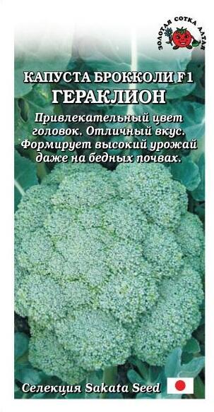 Купить оптом в Ботанике семена Капуста брокколи Гераклион F1 ЗС бренд Золотая сотка