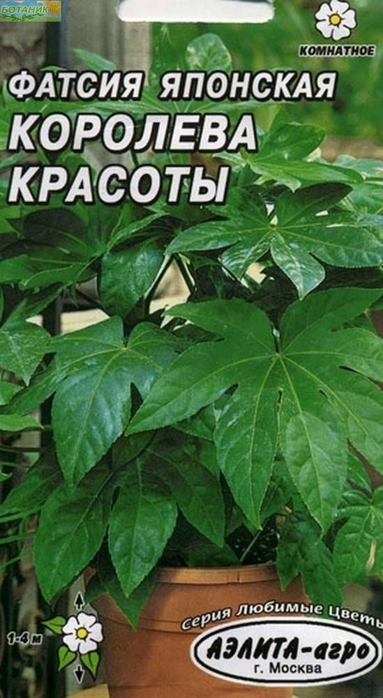 Купить оптом в Ботанике семена Фатсия Королева красоты Аэл бренд Аэлита