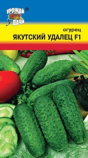 Купить оптом в Ботанике семена Огурец Якутский удалец F1 УУ бренд Урожай Удачи