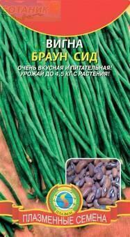Купить оптом в Ботанике семена Вигна Браун Сид Плз бренд Плазмас