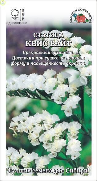 Купить оптом в Ботанике семена Статица Квис вайт ЗС бренд Золотая сотка