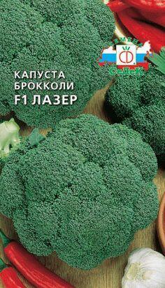 Купить оптом в Ботанике семена Капуста брокколи Лазер Сед бренд СеДеК