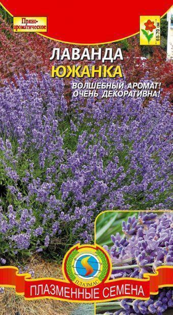 Купить оптом в Ботанике семена Лаванда Южанка Плз бренд Плазмас