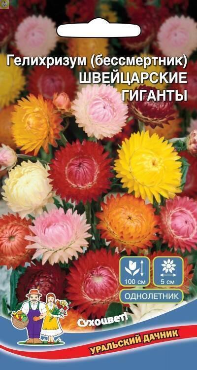 Купить оптом в Ботанике семена Гелихризум Швейцарские гиганты УД бренд Уральский дачник