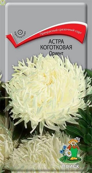 Купить оптом в Ботанике семена Астра Ориент коготковая Поиск бренд Поиск