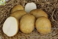 Купить оптом в Ботанике Картофель семенной Лидер Э 1кг (мешки 25-30кг)+/-2%
