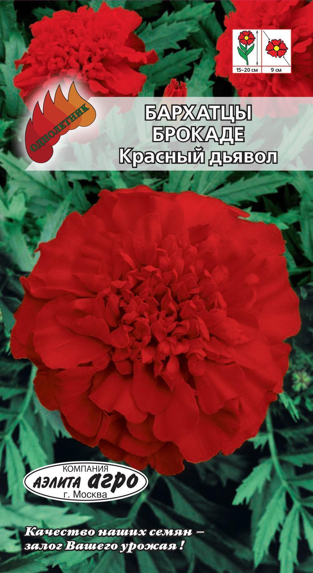 Купить оптом в Ботанике семена Бархатцы Брокаде красный дьявол Аэл бренд Аэлита