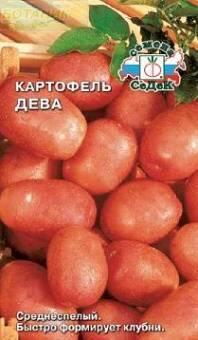 Купить оптом в Ботанике семена Картофель Дева Сед бренд СеДеК