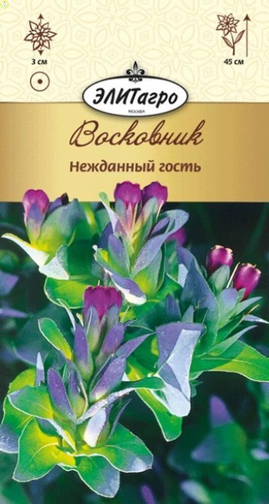 Купить оптом в Ботанике семена Восковник Нежданный гость Аэл бренд Аэлита