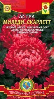 Купить оптом в Ботанике семена Астра Миледи Скарлетт Плз бренд Плазмас