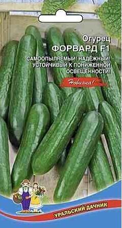 Купить оптом в Ботанике семена Огурец Форвард F1 УД бренд Уральский дачник
