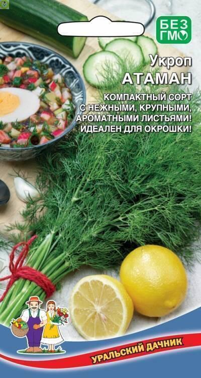 Купить оптом в Ботанике семена Укроп Атаман УД бренд Уральский дачник