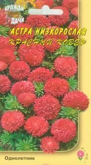 Купить оптом в Ботанике семена Астра Красный ковер УУ бренд Урожай Удачи