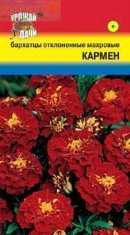 Купить оптом в Ботанике семена Бархатцы Кармен отклоненные УУ бренд Урожай Удачи