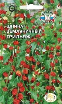 Купить оптом в Ботанике семена Шпинат земляничный Грильяж Сед бренд СеДеК