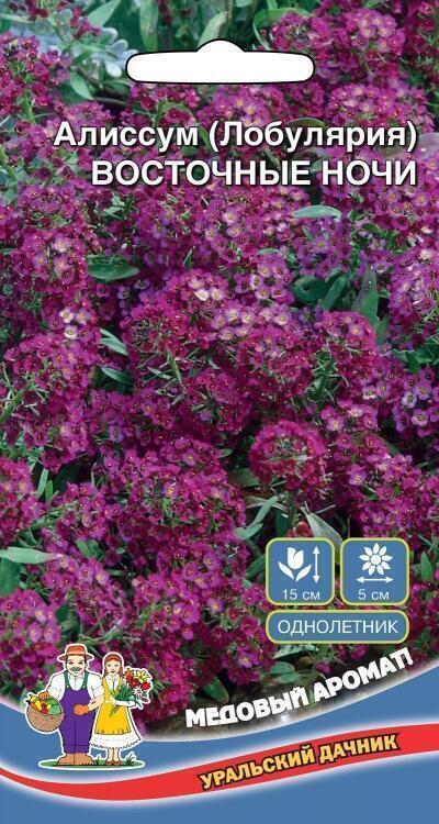 Купить оптом в Ботанике семена Алиссум Восточные ночи УД бренд Уральский дачник