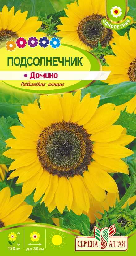 Купить оптом в Ботанике семена Подсолнечник декор. Домино СА бренд Семена Алтая