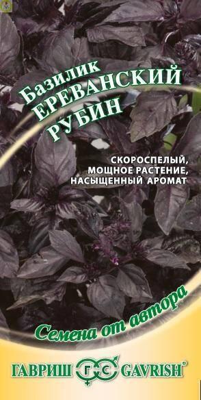 Купить оптом в Ботанике семена Базилик Ереванский рубин Гав бренд Гавриш